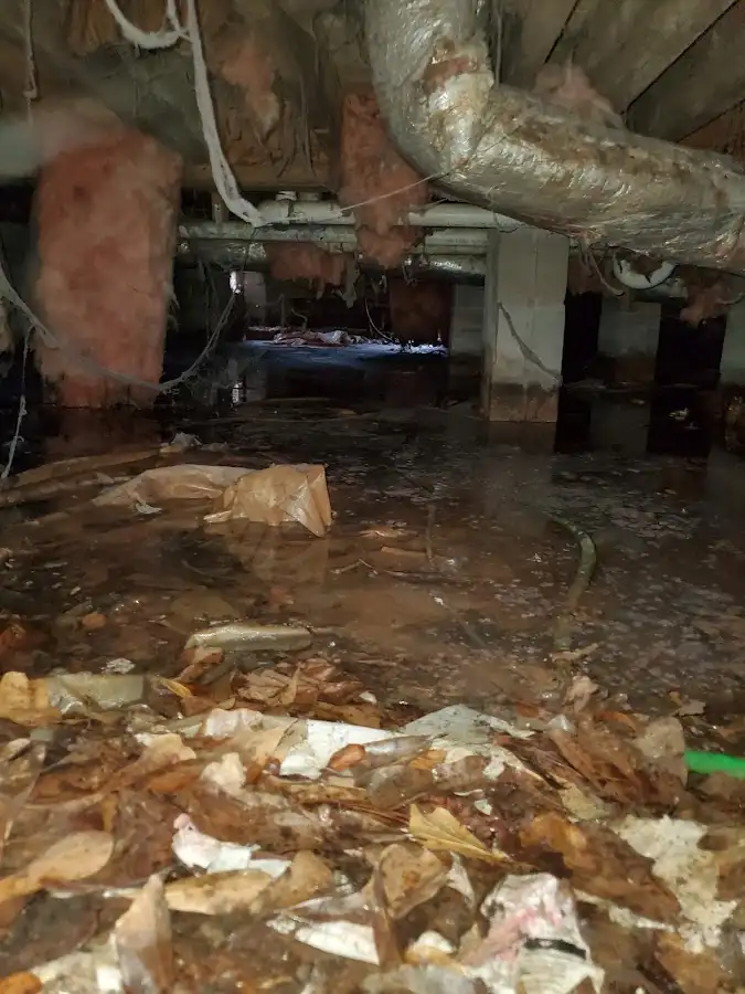 Crawl space flood assessment for Commercial Water Damage Restoration in Jonesboro