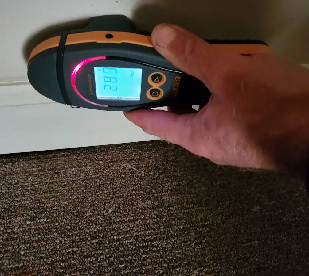 Moisture detection at baseboard during Sewage Cleanup & Sanitation in Jonesboro